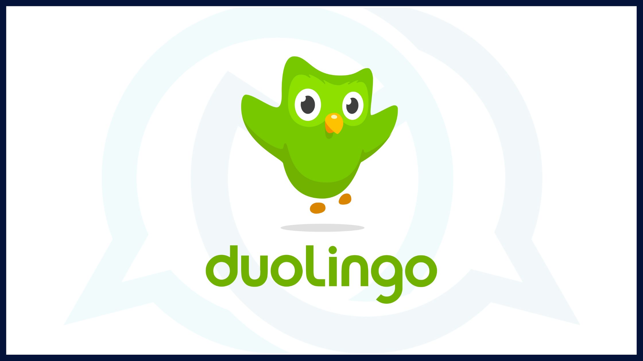 Everything You Need To Know About Duolingo Leagues